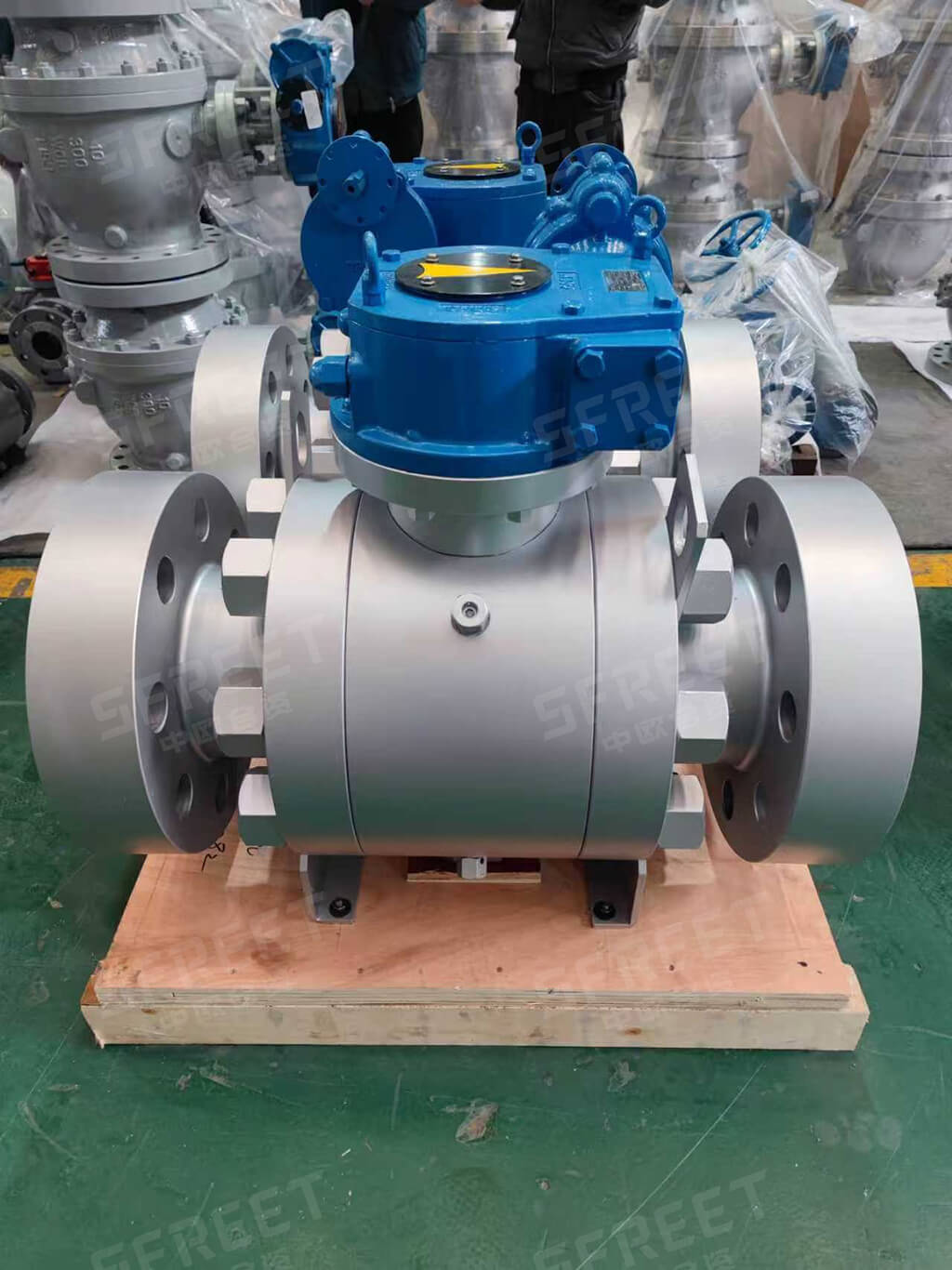 202511191801.jpg 13 (1).jpg